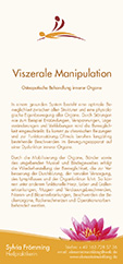 Viszerale Flyer